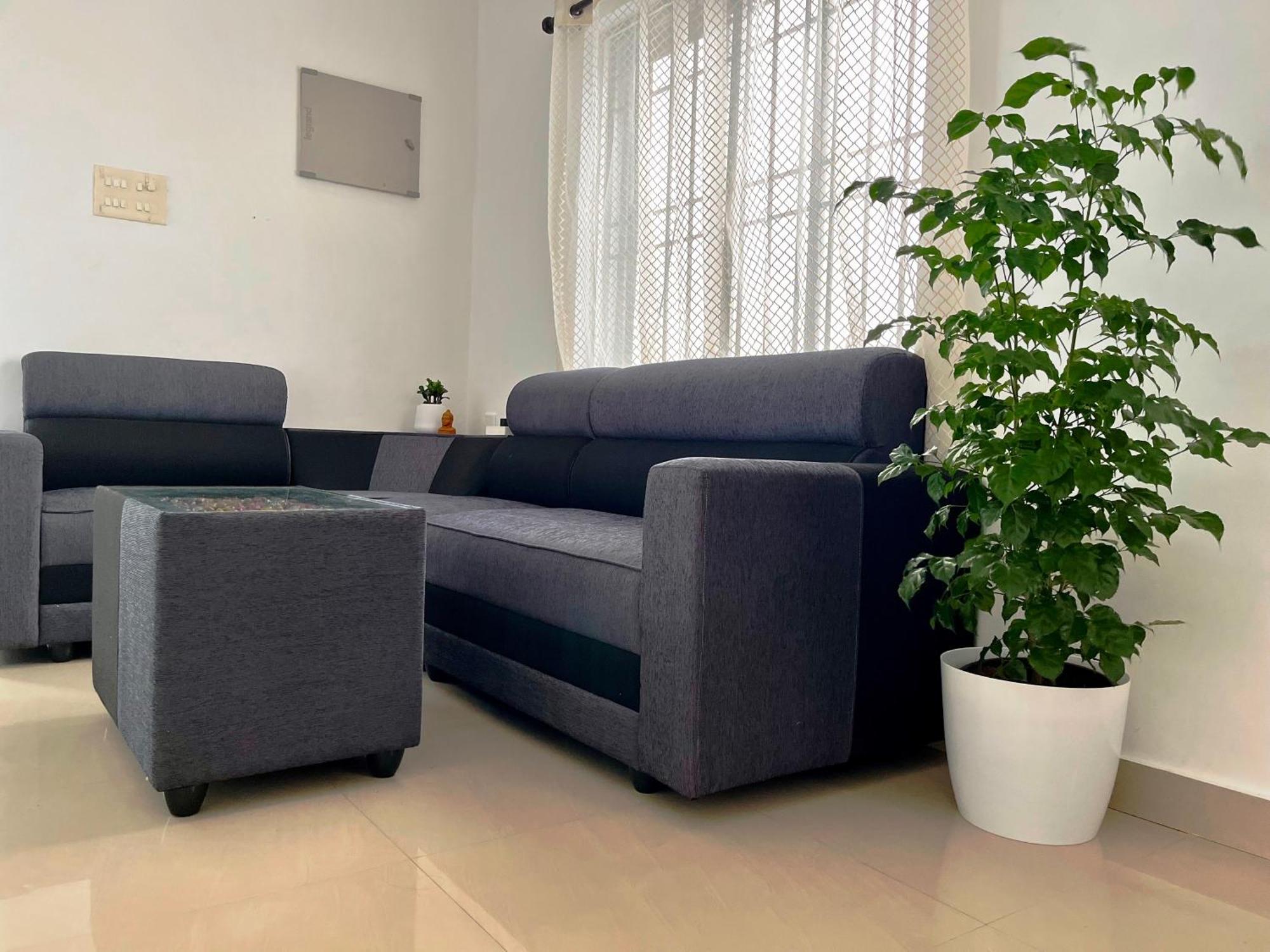 Segundo Home Kochi Ngoại thất bức ảnh
